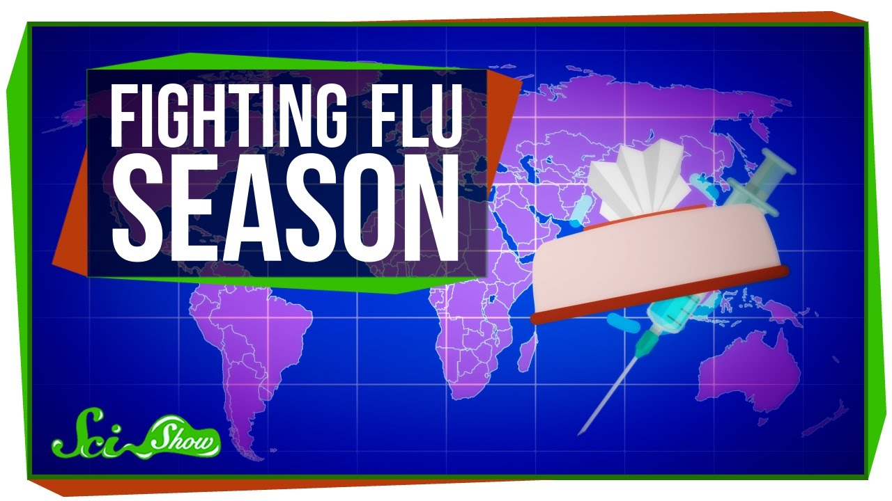The Best Way to Fight the Flu