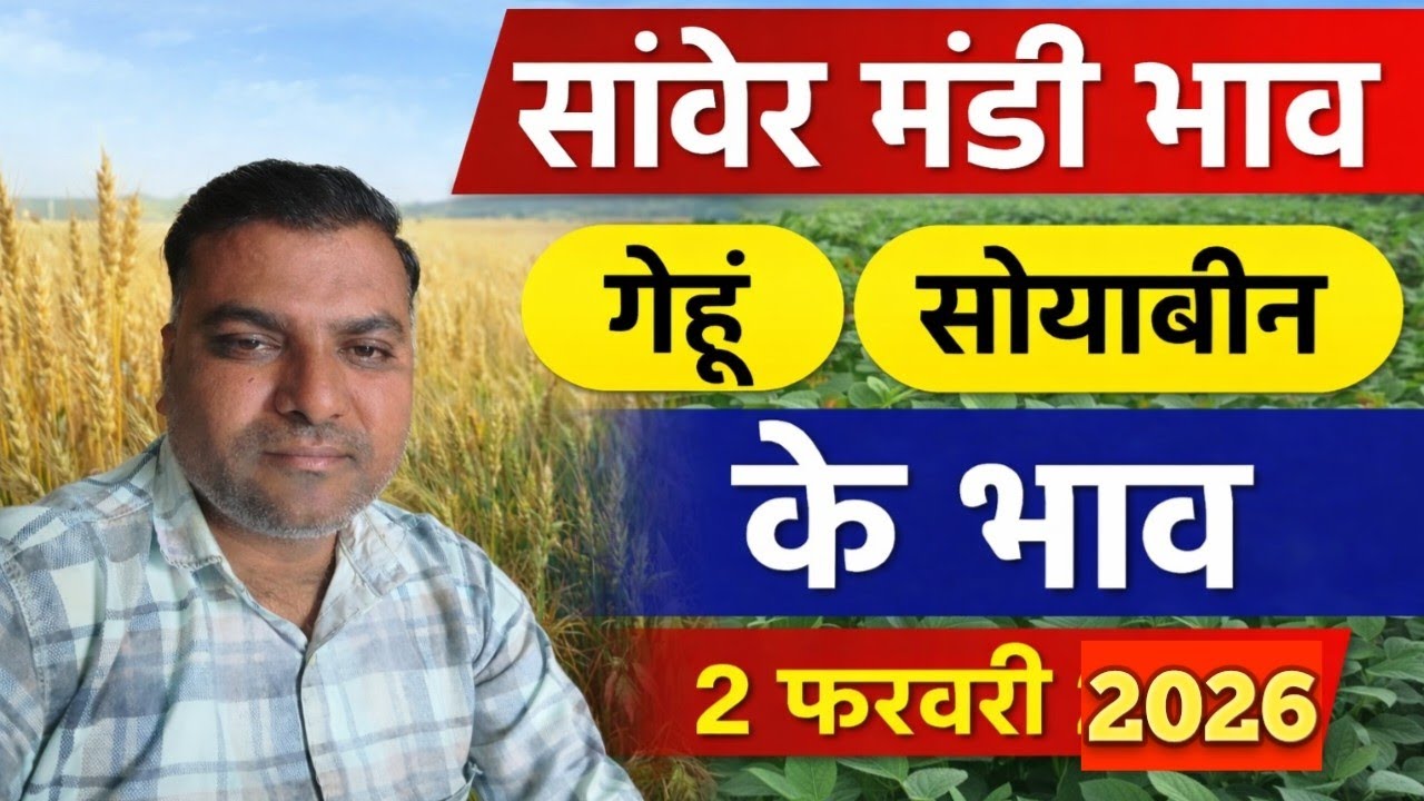 सांवेर मंडी भाव #सांवेर मंडी #trending #viral #देवास मंडी #मंडी भाव इंदौर 