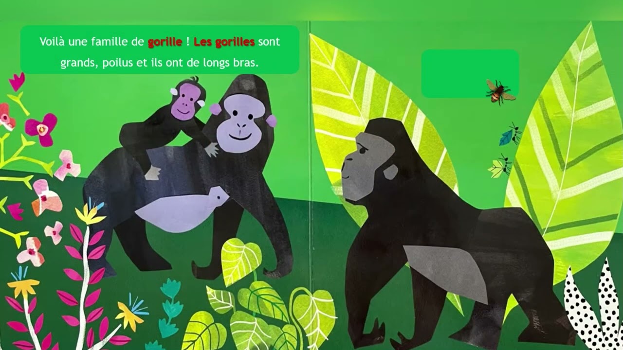 La for&ecirc;t tropicale - The rainforest