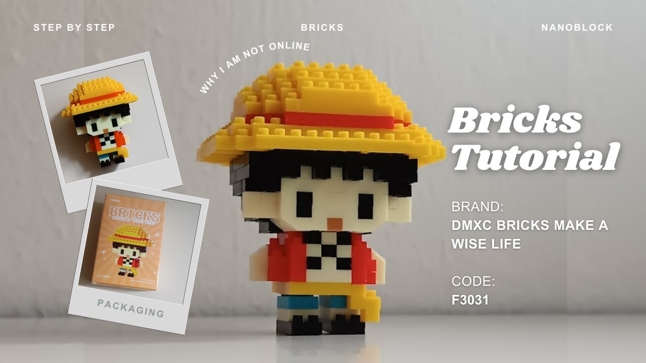 How to Build Luffy One Piece Building Blocks | DMXC Bricks Make a Wise Life F3031 (203 Pieces)