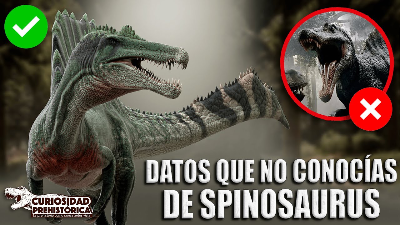 ¡5 DATOS QUE NO CONOCÍAS DE SPINOSAURUS!
