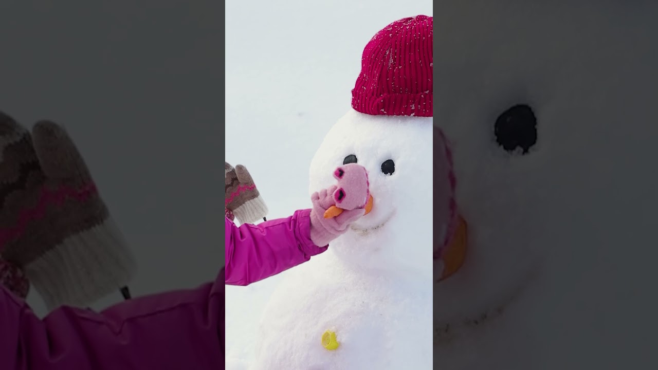☃️ Giornata Mondiale della Neve | Marche Tourism
