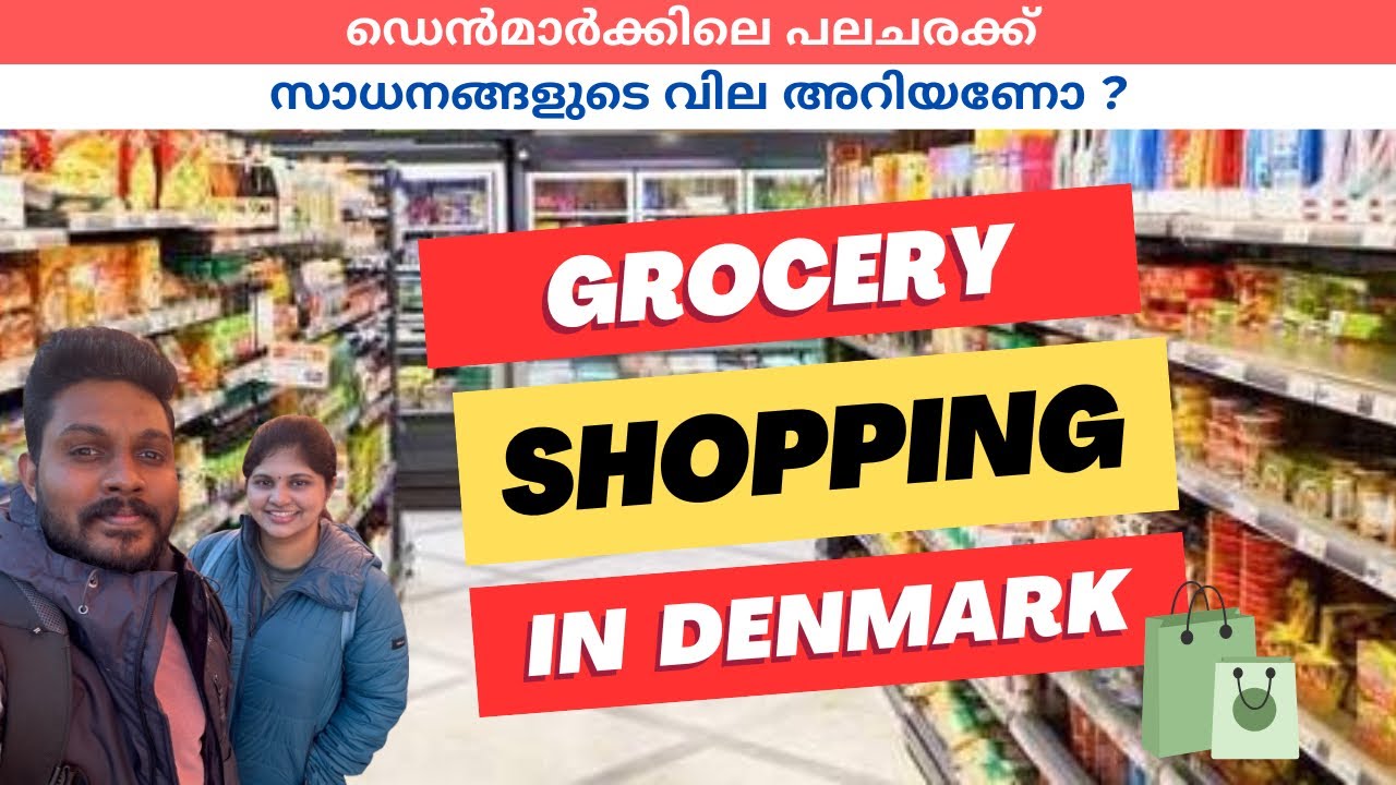 Are groceries expensive in Denmark? Grocery Shopping &ndash; What&rsquo;s Expensive & Cheap | Malayalam Vlog