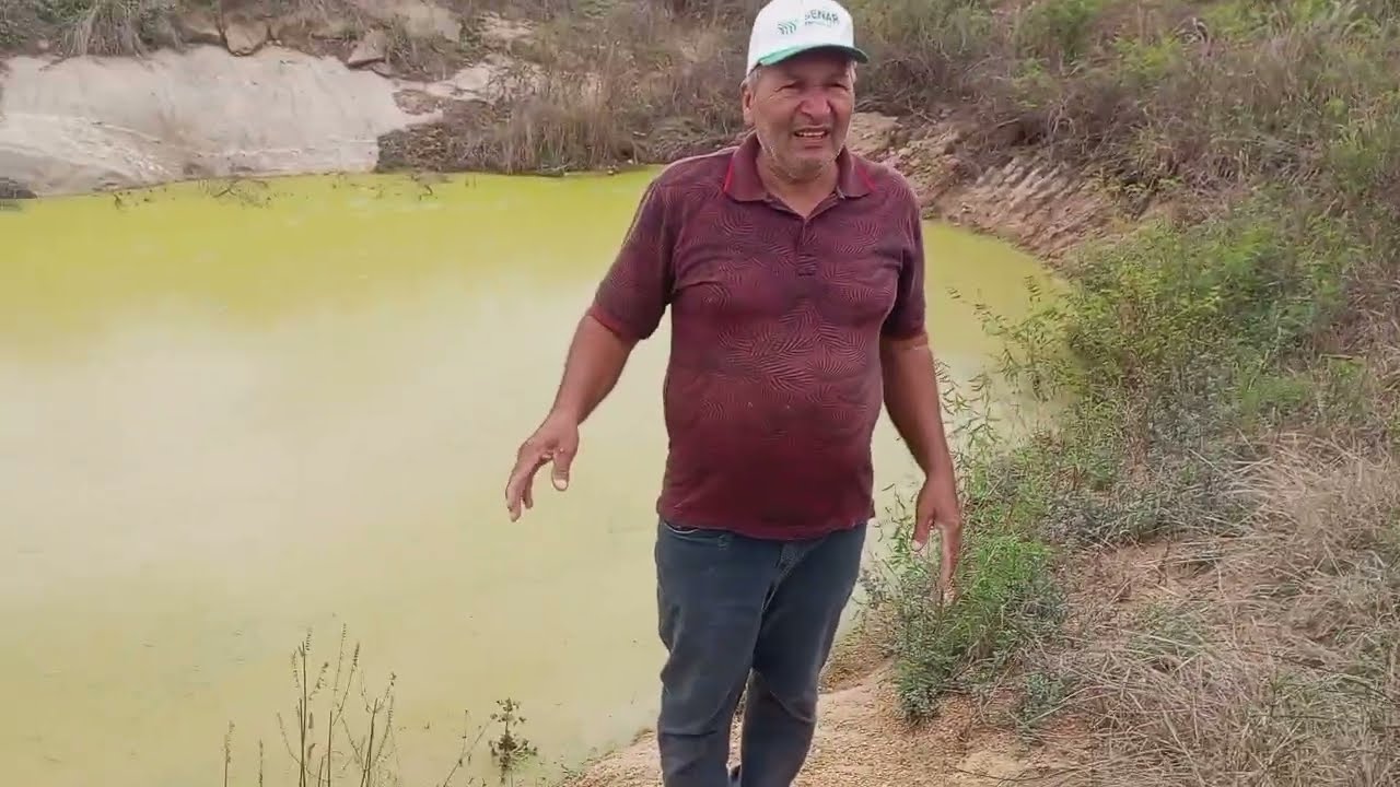 Mostrando o barreiro e as porcas 