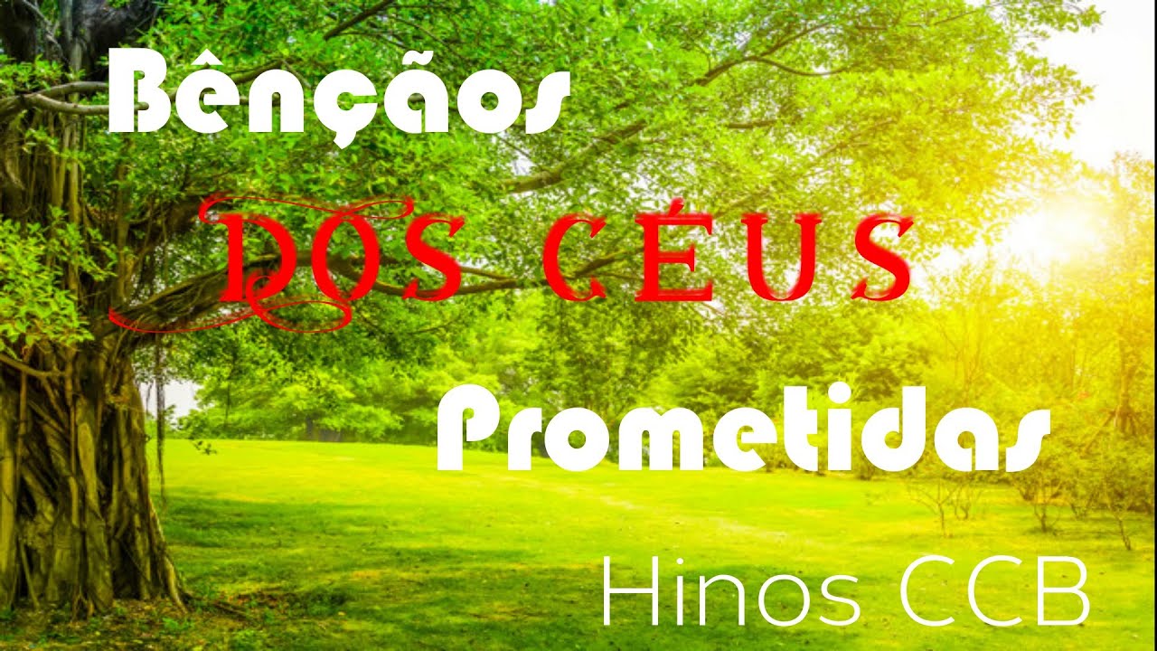 HINO CCB 265 - B&Ecirc;N&Ccedil;&Atilde;OS DOS C&Eacute;US PROMETIDAS