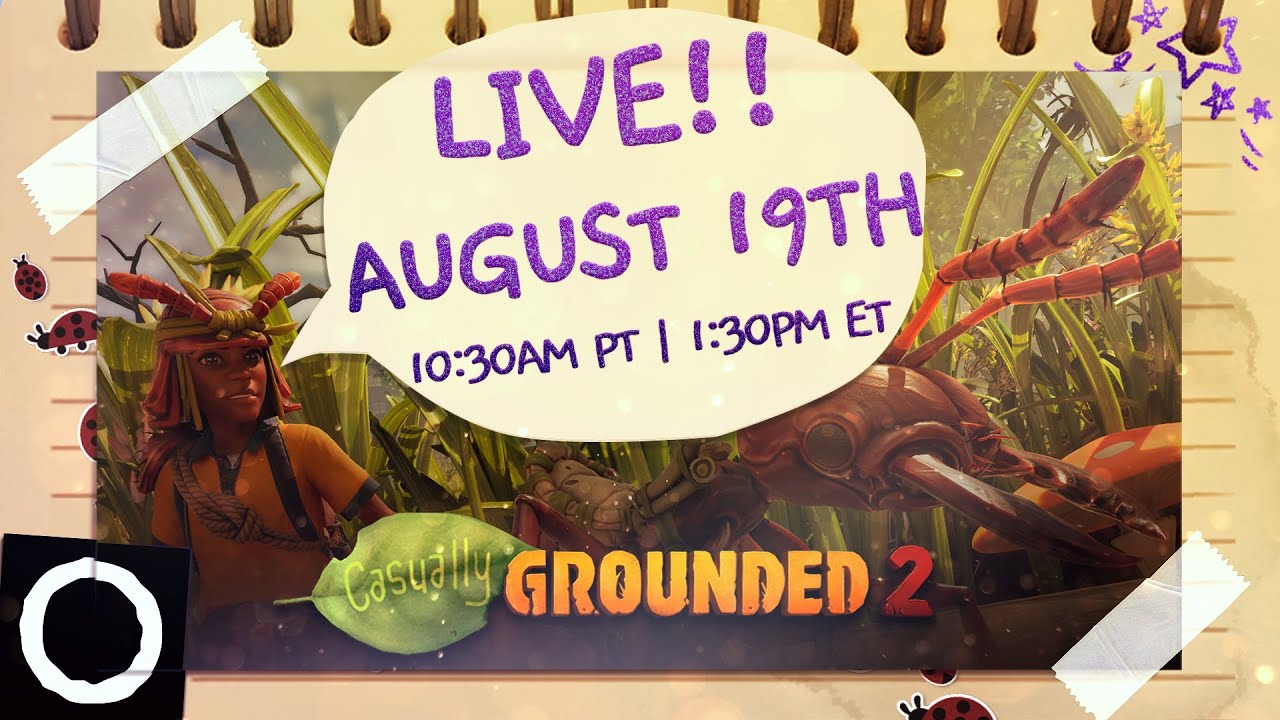 Casually Grounded 2