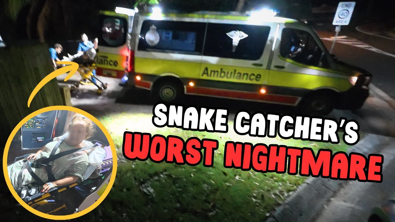 AUSSIE SNAKE BITE EMERGENCY || What NOT to do