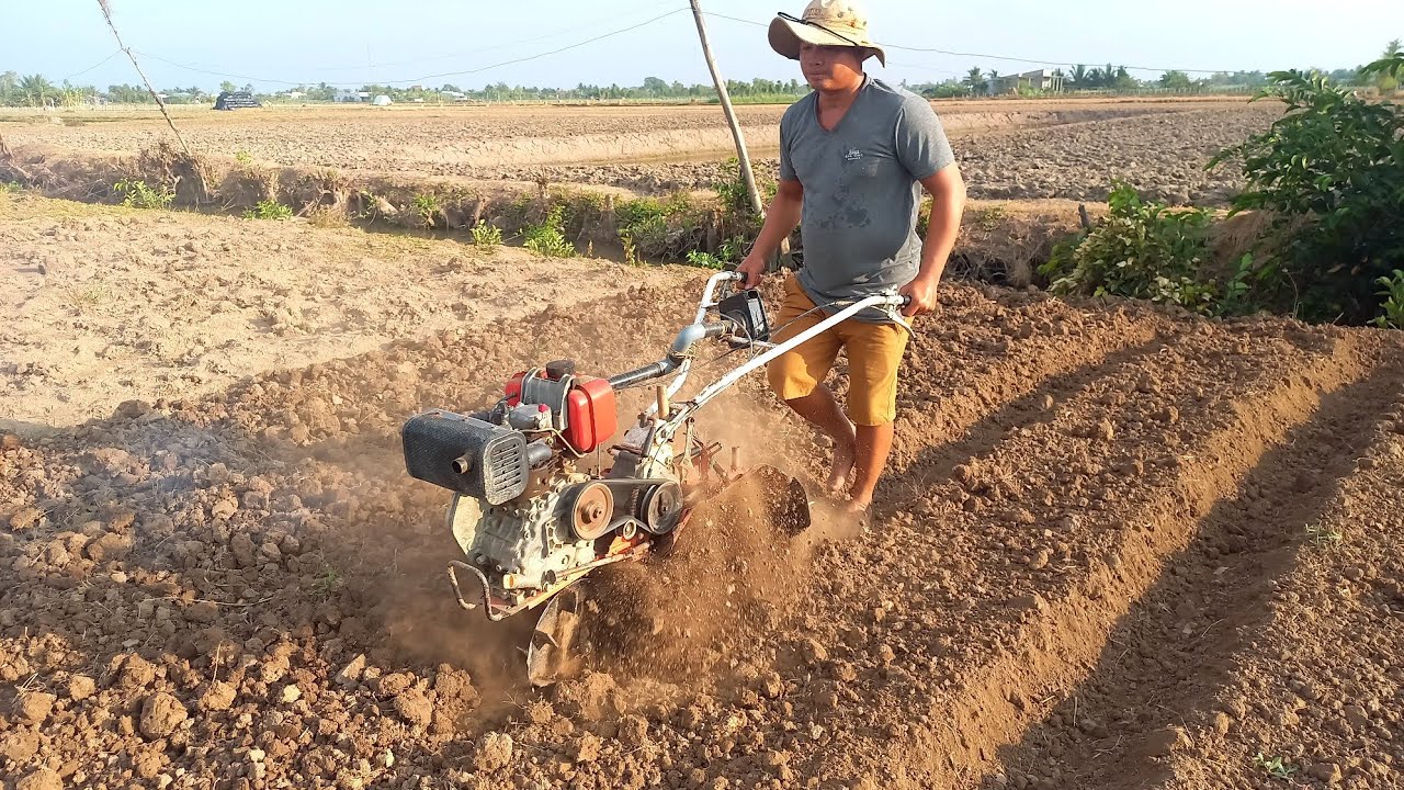 Máy Tạt Luống Yanmar L40 Anh Tâm Ấp Láng @munggocongvlog