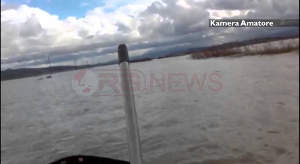 Përmbytjet në Fier, fshatarët përpiqen të shpëtojnë gjënë e gjallë- Ora News- Lajmi i fundit-