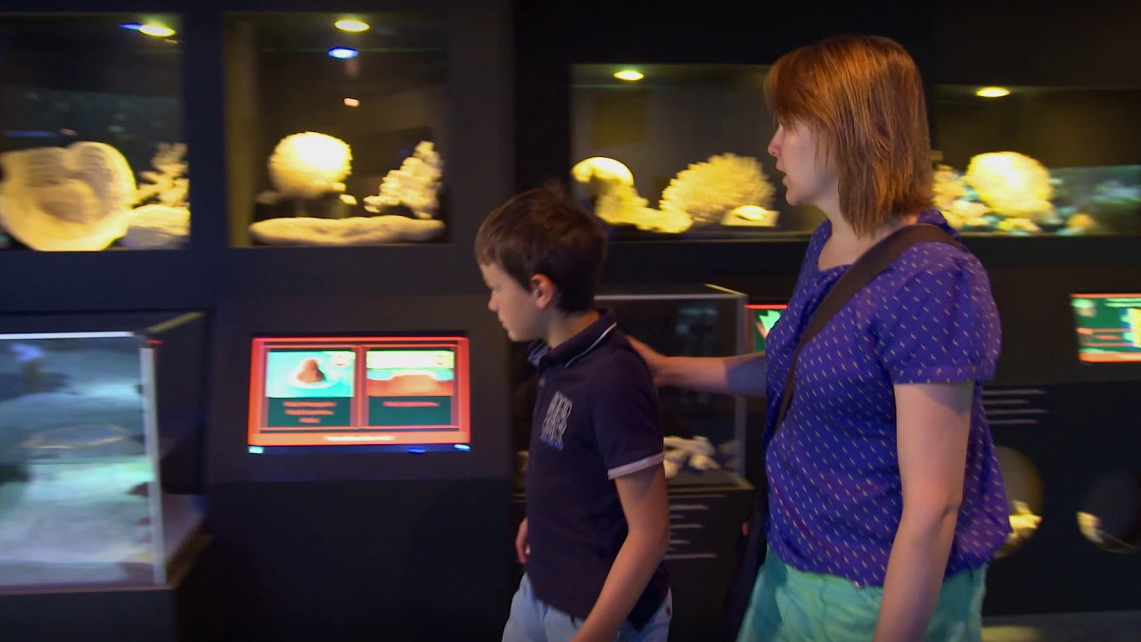 Escapades en Wallonie - Aquarium-Muséum de Liège