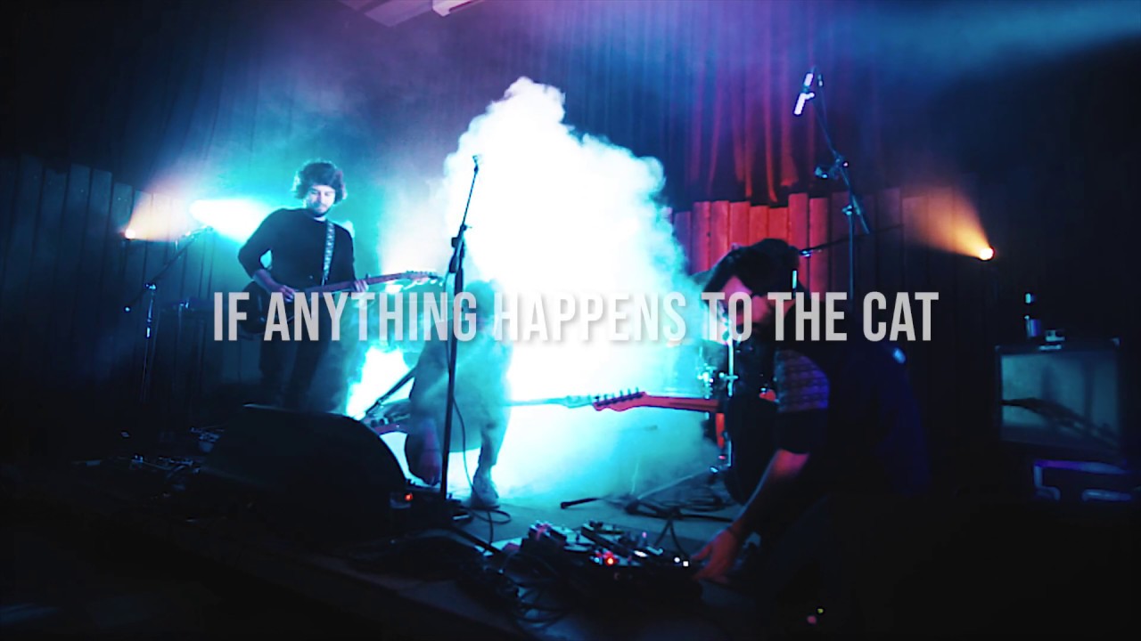 If Anything Happens To The Cat - Jessamine (Live Session)
