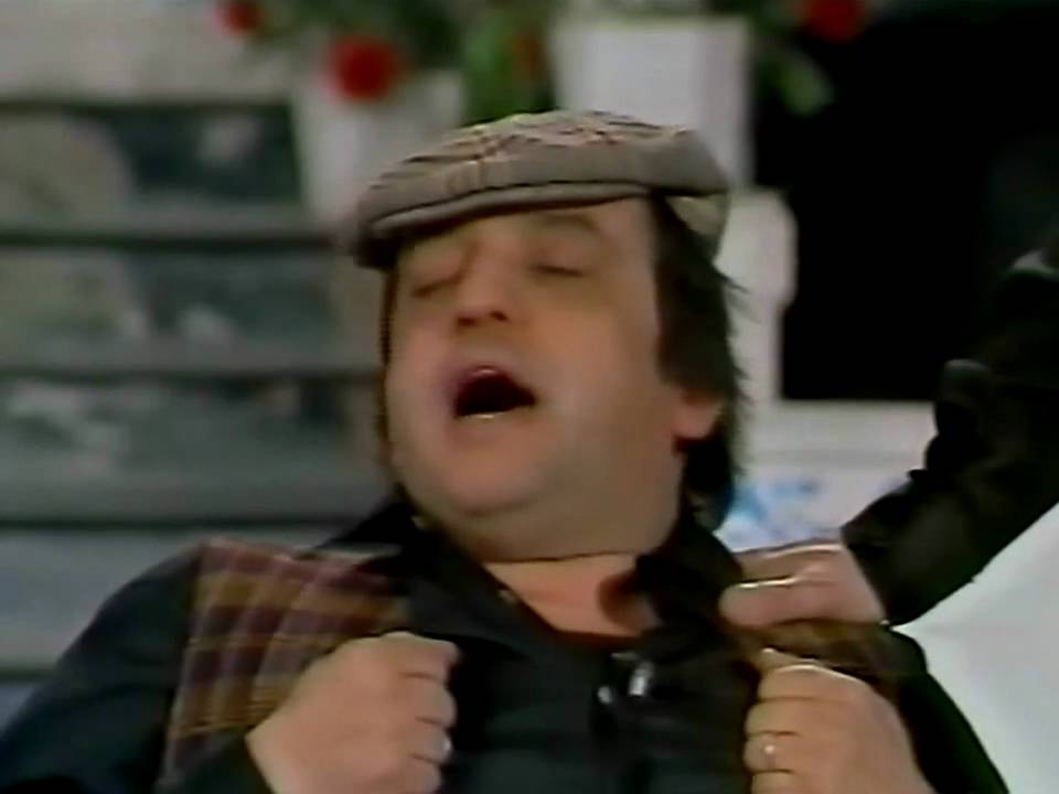 Il Cacciatore del Bosco - I GUFI A COLORI