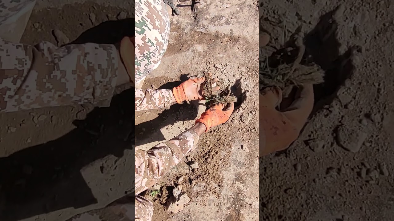 Treasure Hidden Inside a Mysterious Hole!😱💰#treasurehunt #metaldetecting#shorts #viral #viralvideo