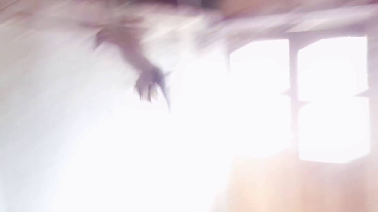 G&ouml;yer&ccedil;inler 2017