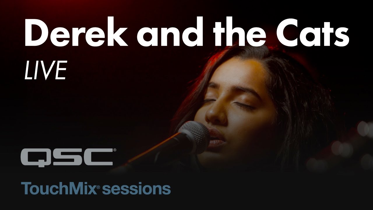 Derek & the Cats Feat. Frizzell D'Souza (Live) - Diana - TouchMix Sessions
