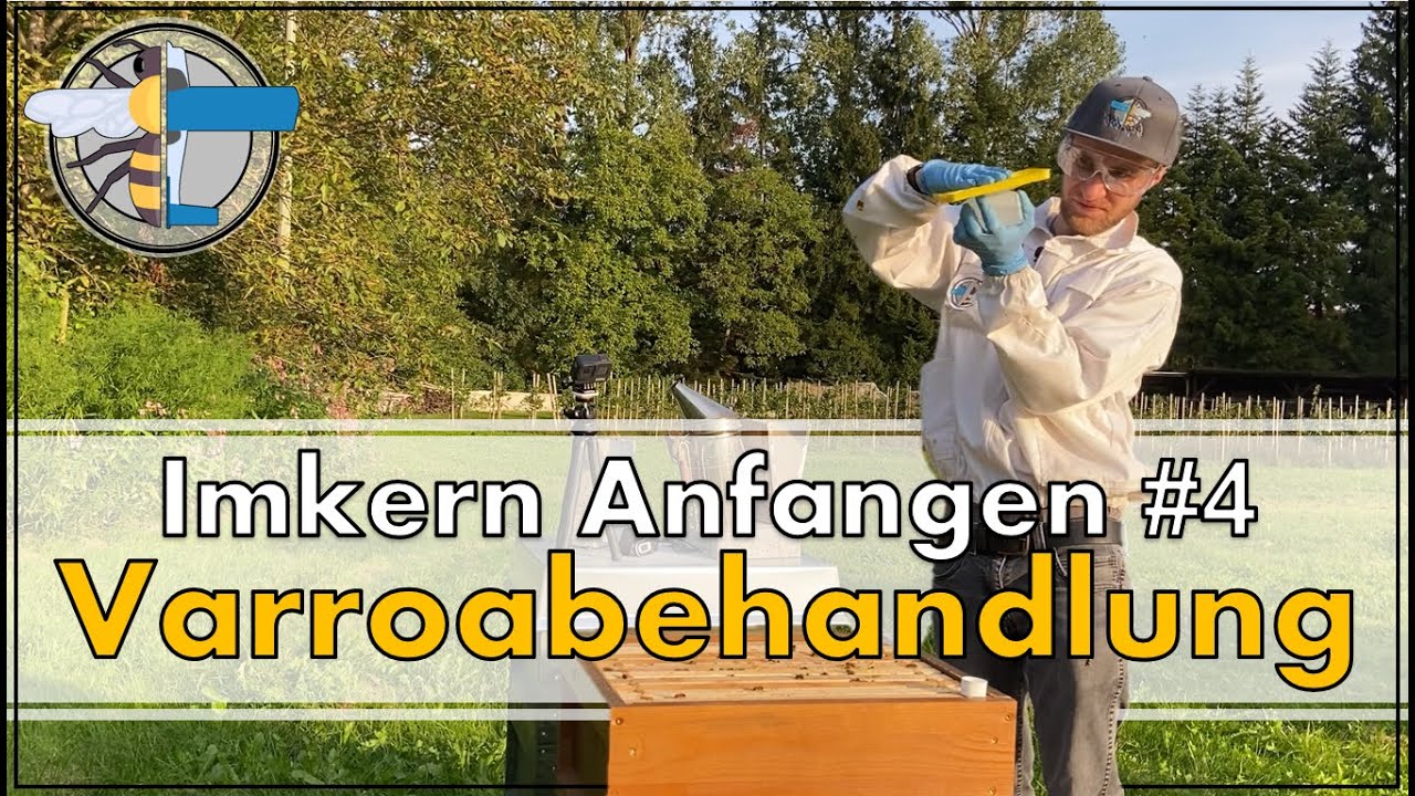 » Varroabehandlung | Ameisensäure | Imkern Anfangen #4 | BeePilot