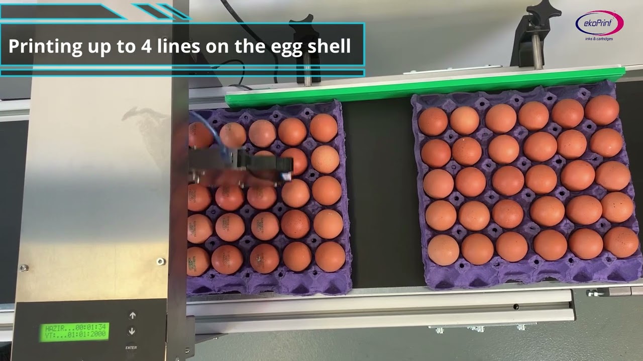 Máquina codificadora de huevos EP-121