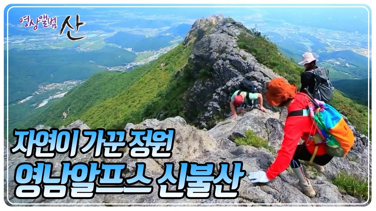 ‘영남의 지붕’이라 불리는 영남알프스. 영남알프스 주 능선을 따라 걷는 길의 시작! 해발 1,159m 신불산으로의 여정 [영상앨범 산] KBS 250921 방송