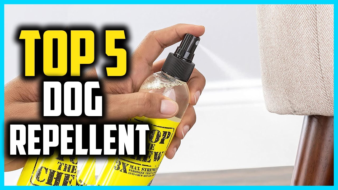 ✅Top 5 Best Dog Repellent Spray in 2024 Reviews