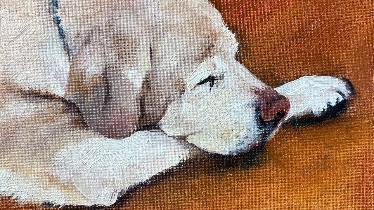 Painting a sleepy dog in oil