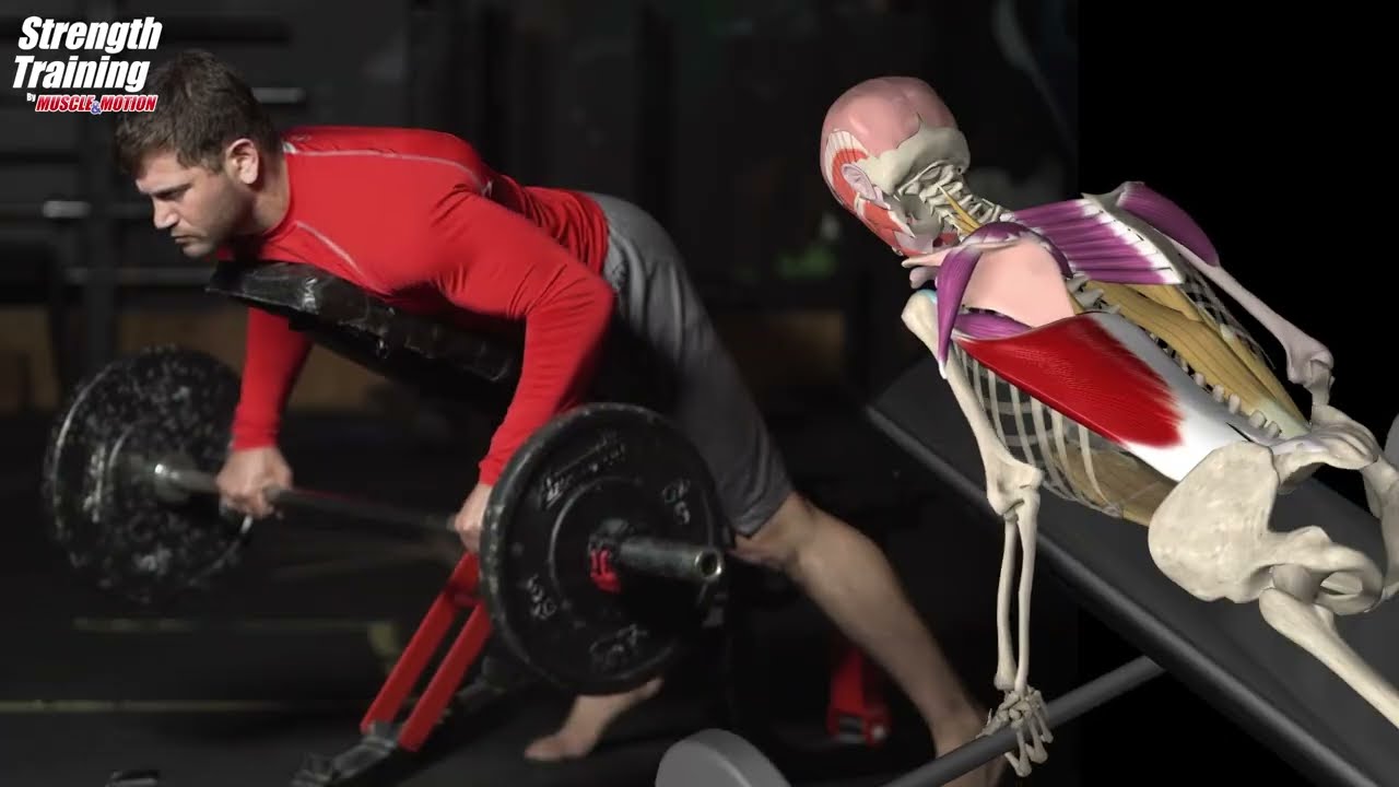 Two Types of Rowing: Lying and Standing