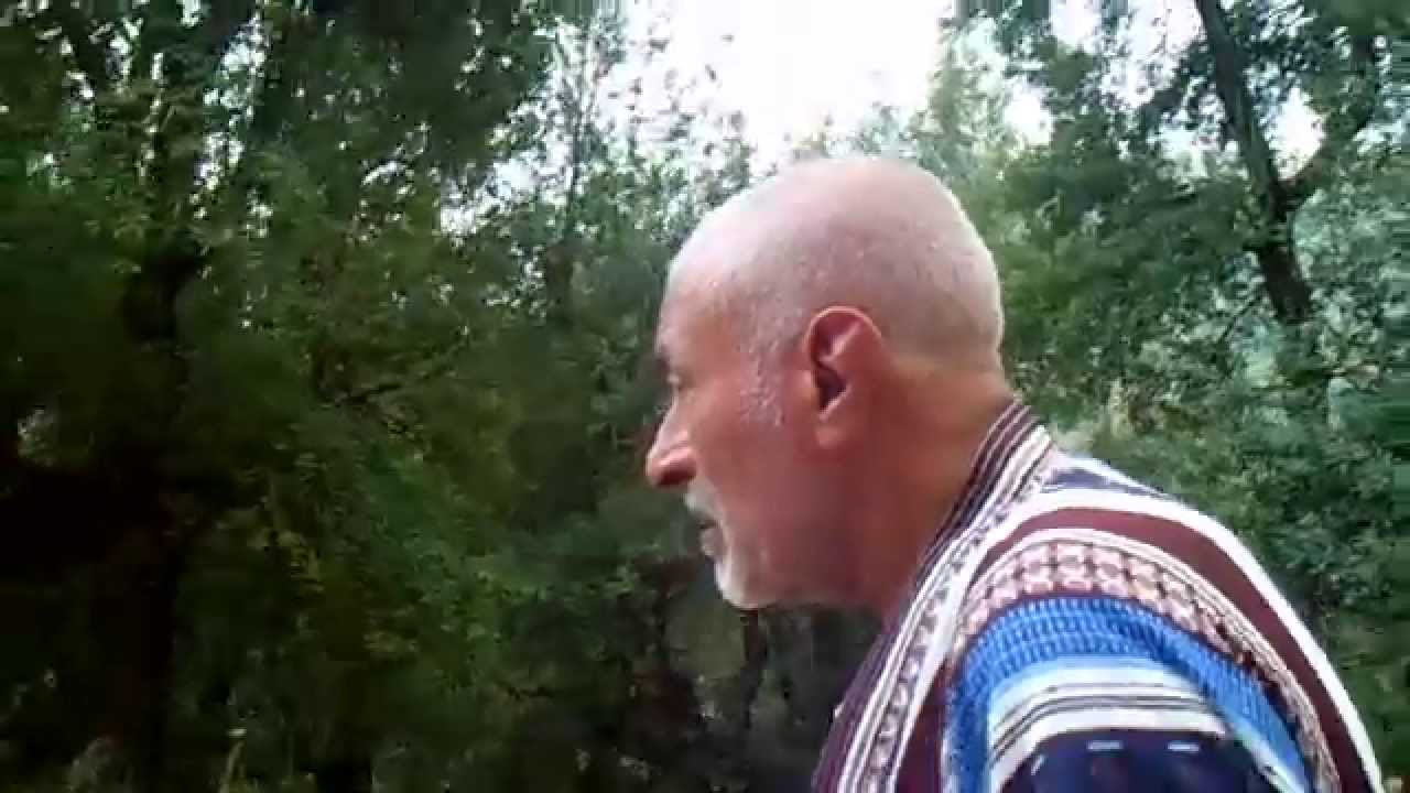 Bordj Thar تاريخ و سياحة