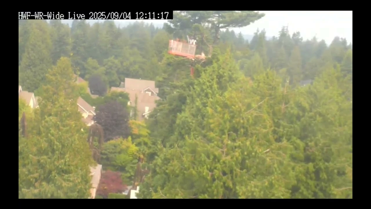 Sept 4, 2025 HWF White Rock, BC Eagles - Part 3 Camera Replacement (11:58 am - 13:58 pm) (