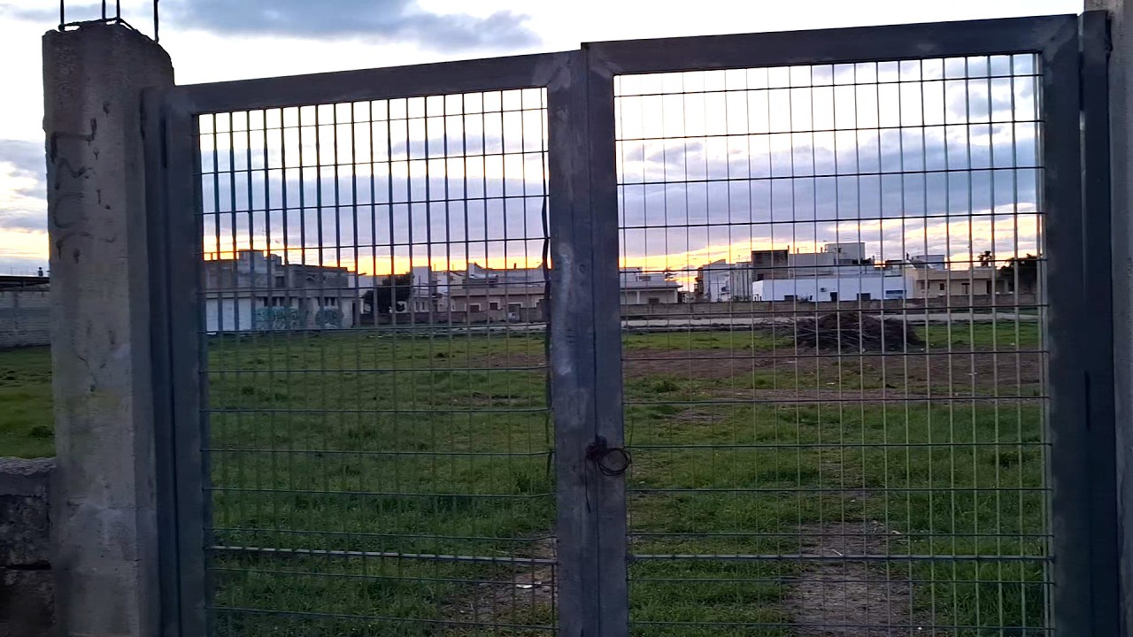 Un seme per il futuro: Firmato l’accordo per la messa a dimora di 52 abeti nell’ex campo di calcio
