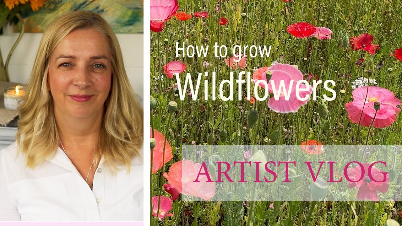 How to grow wildflowers I Itchenor l West Sussex l Artist Vlog l Nature