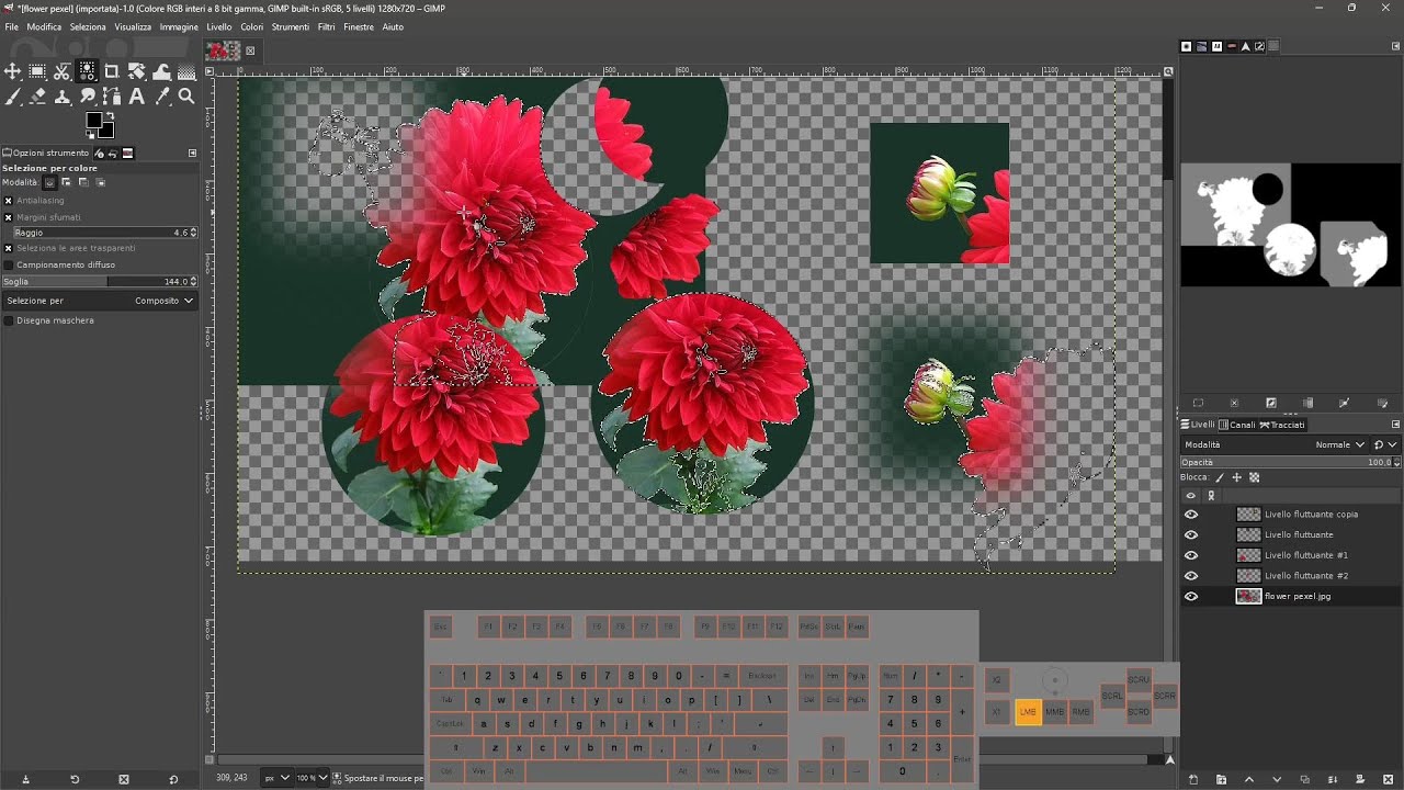 GIMP - Lesson 07 - Selection Tools and Options, Feather, Cut and Copy on New Layer, Lazo, Scissors