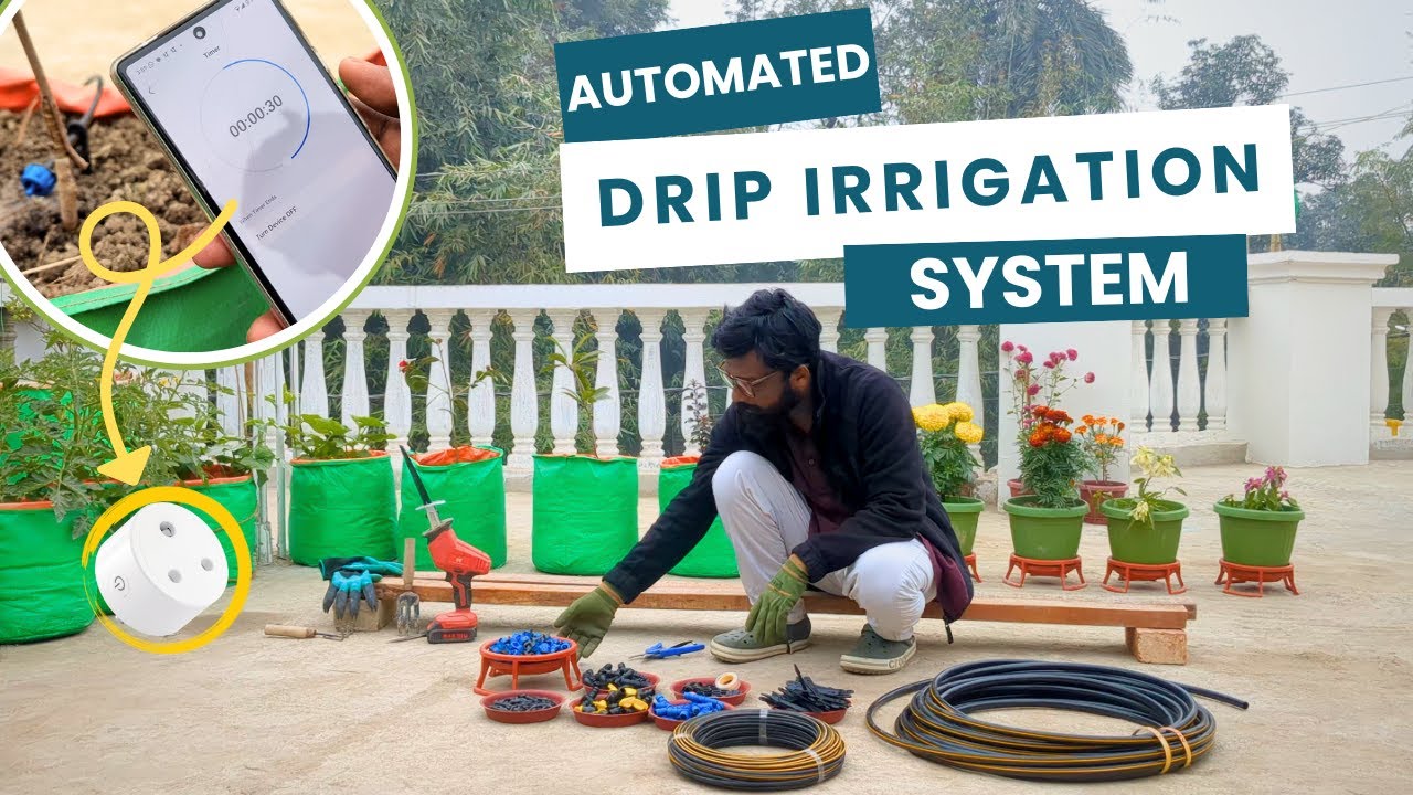 Can't water your plants daily? | Check out this solution | Automated watering system