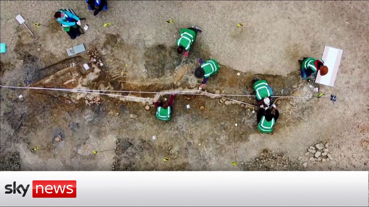 Complete skeleton of an ichthyosaurs found in the UK