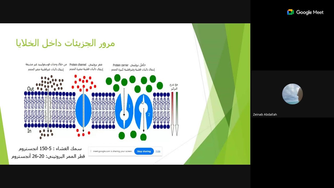 الأسمدة المخلبية و الغير مخلبية في الرش الورقي