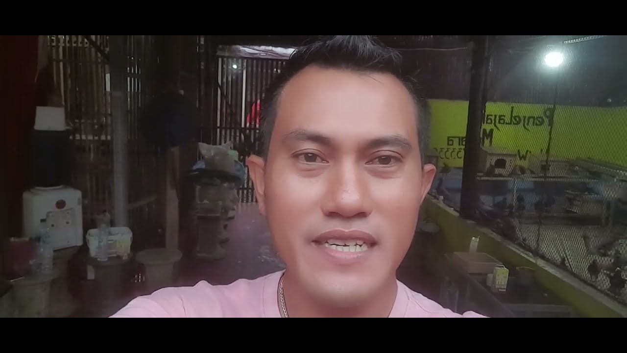 KENANGAN BECAK CINTA BERANAK DIKANDANG TERNAK YODAN99 PENJELAJAH MUTIARA @yodan99penjelajahmutiara