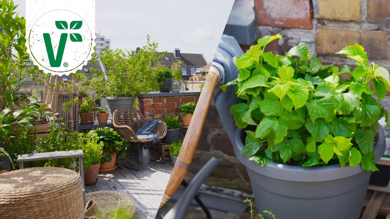 Volmary.de - Urban Gardening Impressionen