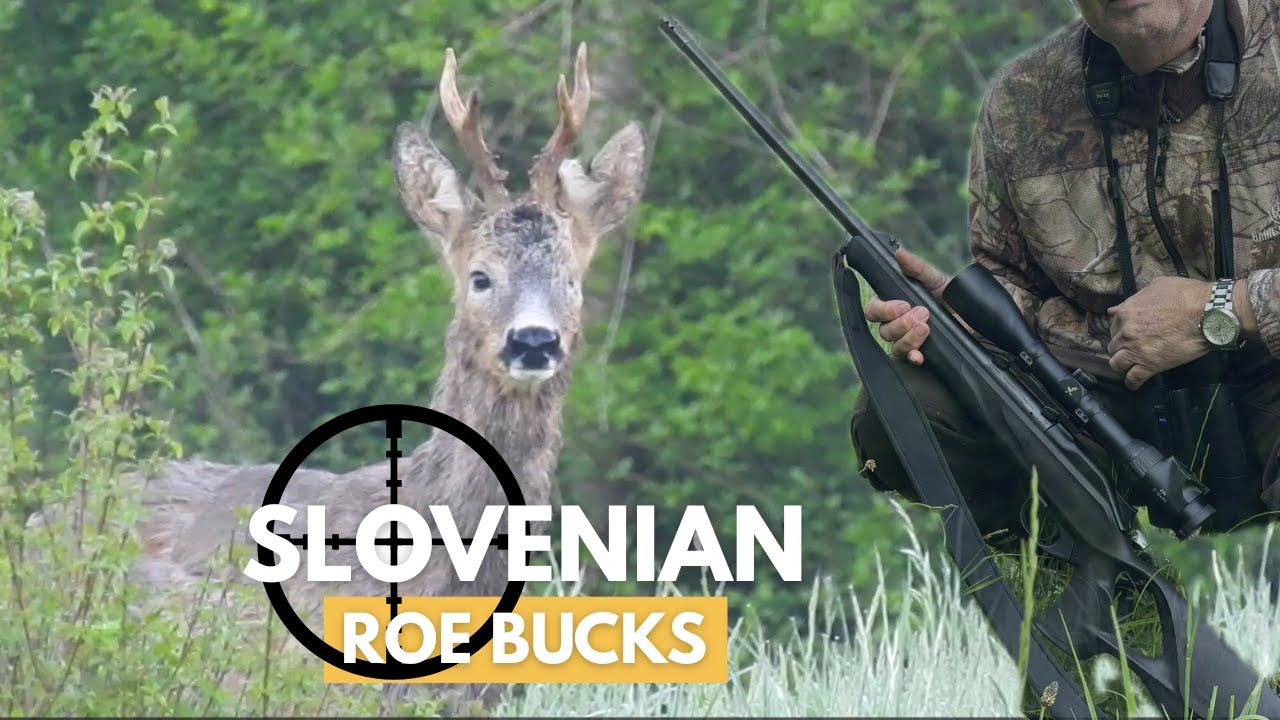 Roe Buck Hunting | May Season Opener 2025