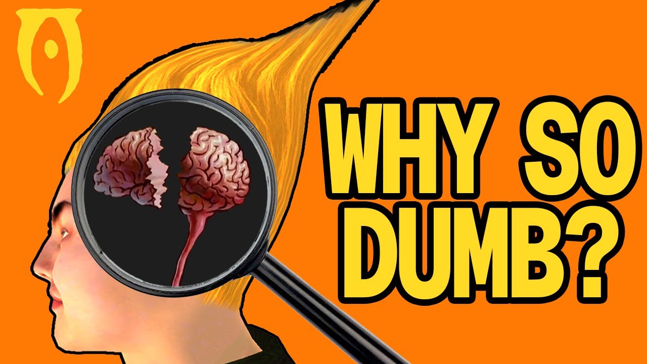 Why Were Oblivion NPC's so Dumb? NPC AI Explained