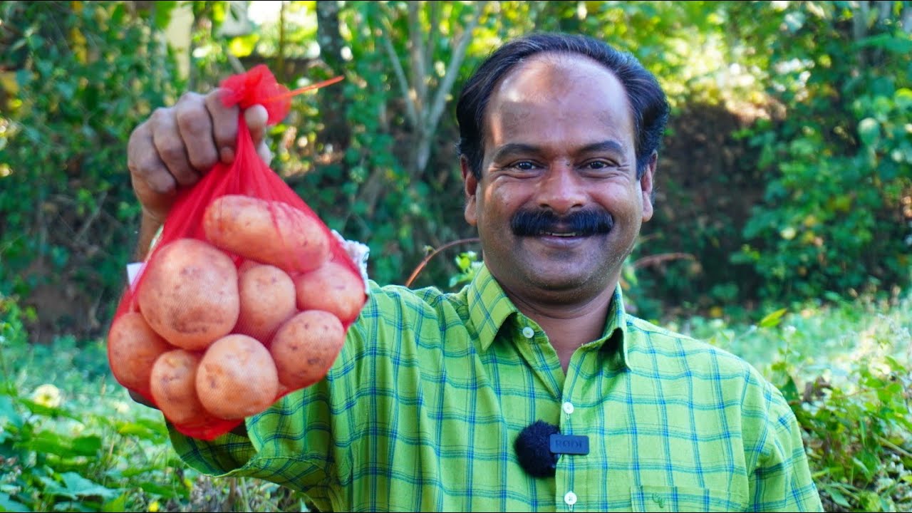 കിഴങ്ങു മെഴുക്കുപുരട്ടി ഇനി ഇങ്ങനെ ഒന്നുണ്ടാക്കി നോക്കു രുചി ഇരട്ടിയാകും💯😋👌|Kizhangu mezhukkupuratti
