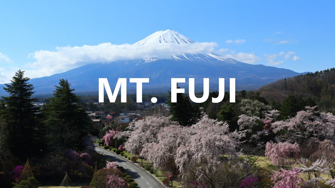 Incredible views of Mt. Fuji from this Hotel