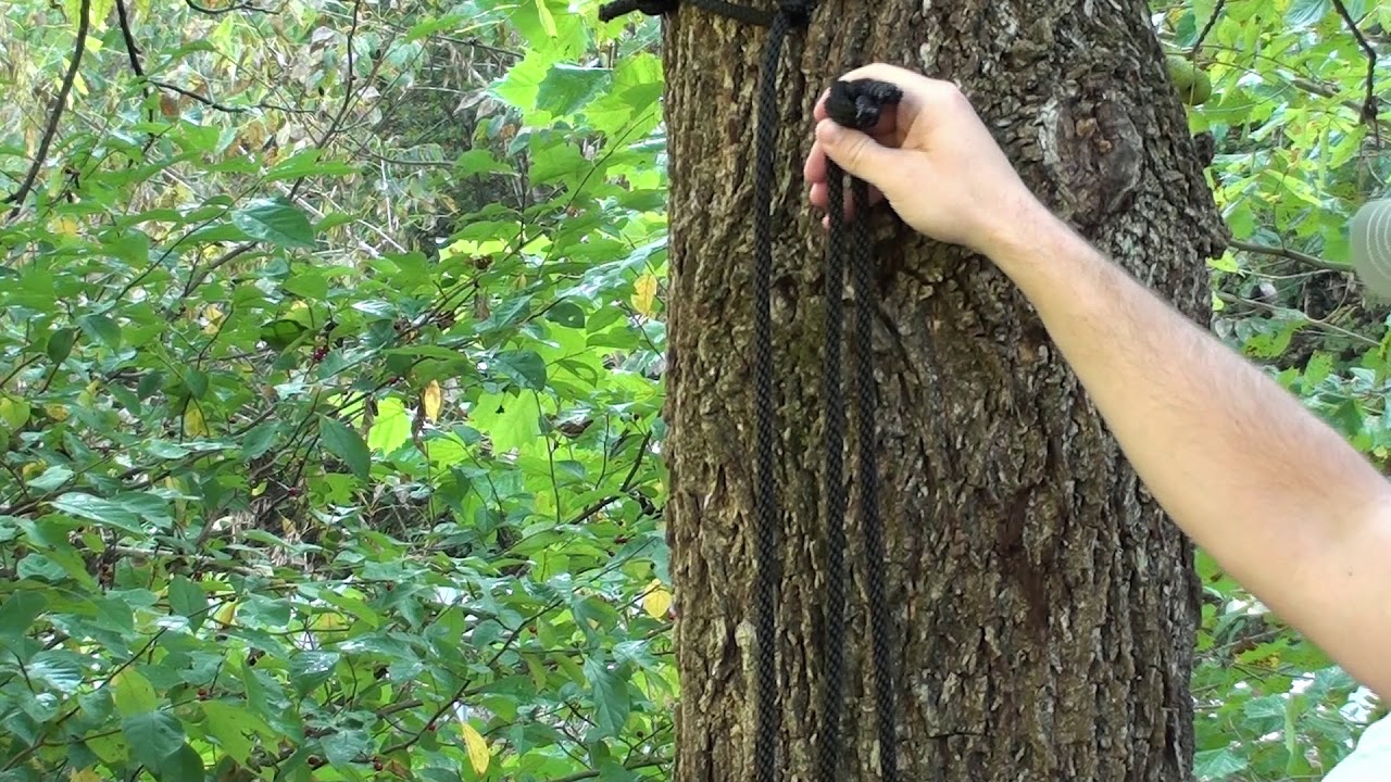 DIY Treestand Safety Lines and Test.