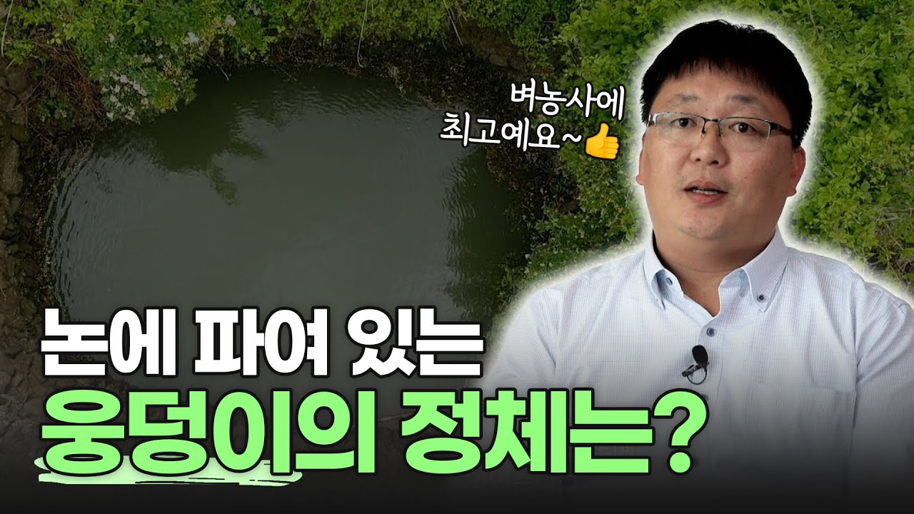 우리의 소중한 농업 자산, '둠벙'