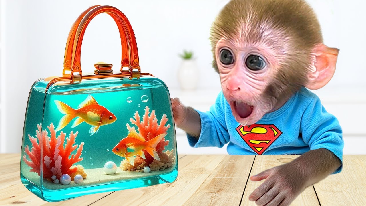 Monkey Baby Bon Bon : The Journey to Rescue Watermelons After the Flood