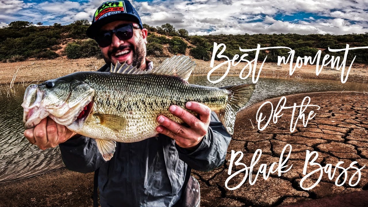 أجمل لحظات  صيد سمك القاروص مياه العدبة في المغرب  Best moment of the Black Bass Morocco / Part 1