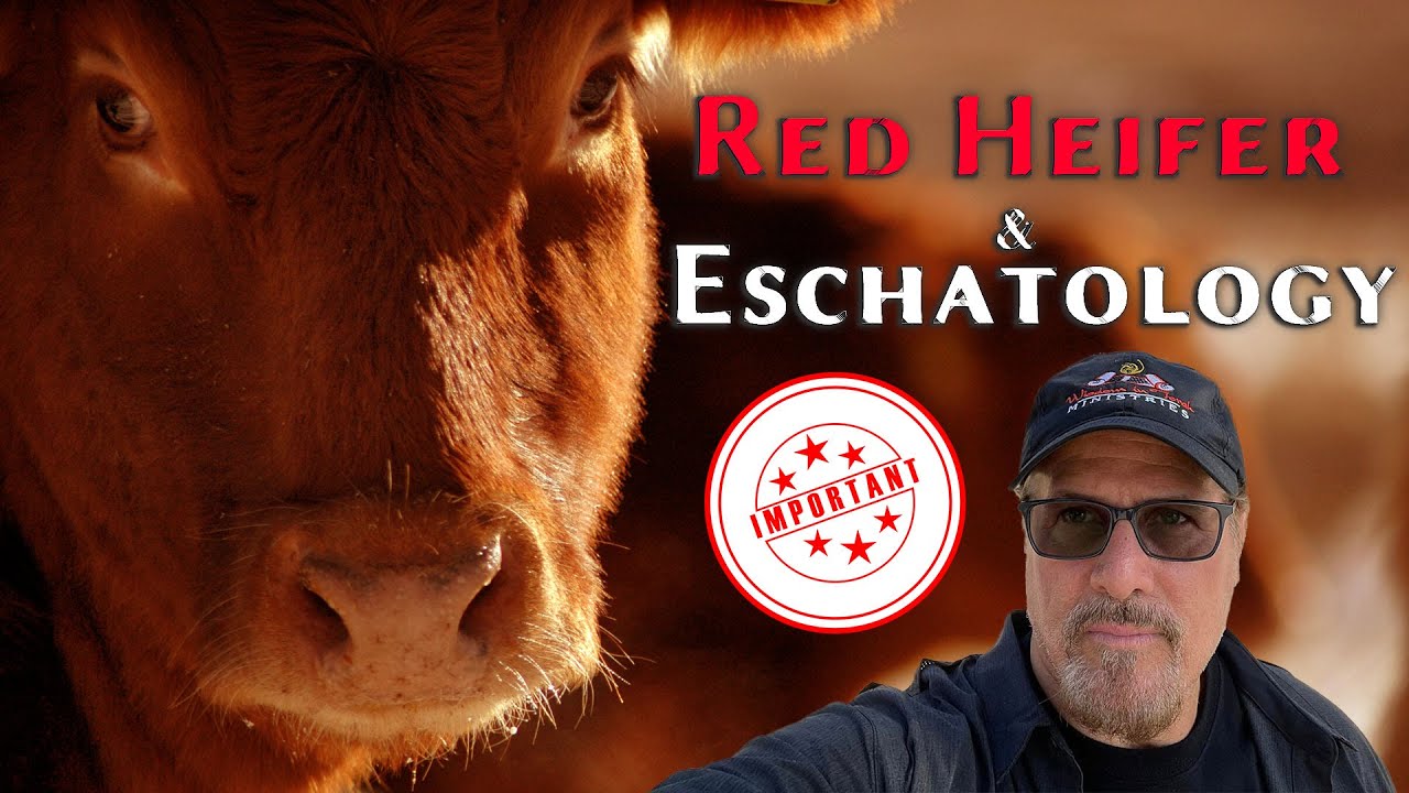 Red Heifer & Eschatology by Rico Cortes