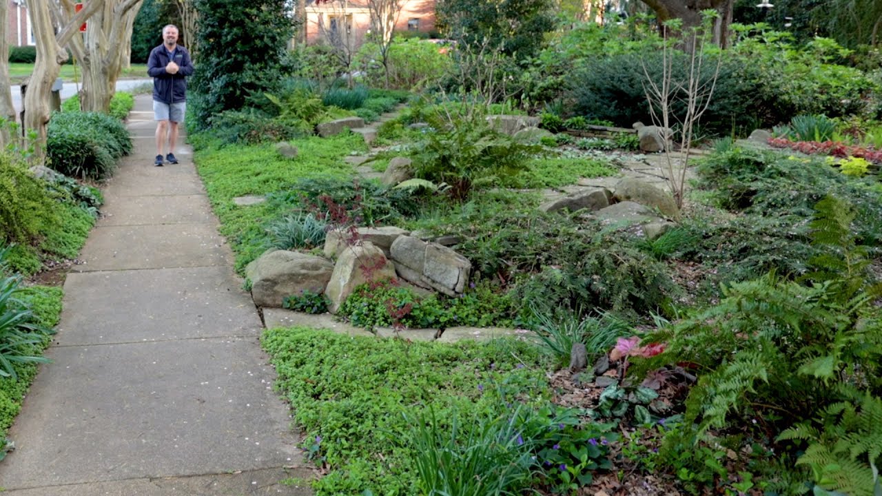Awesome Garden Tour🏡