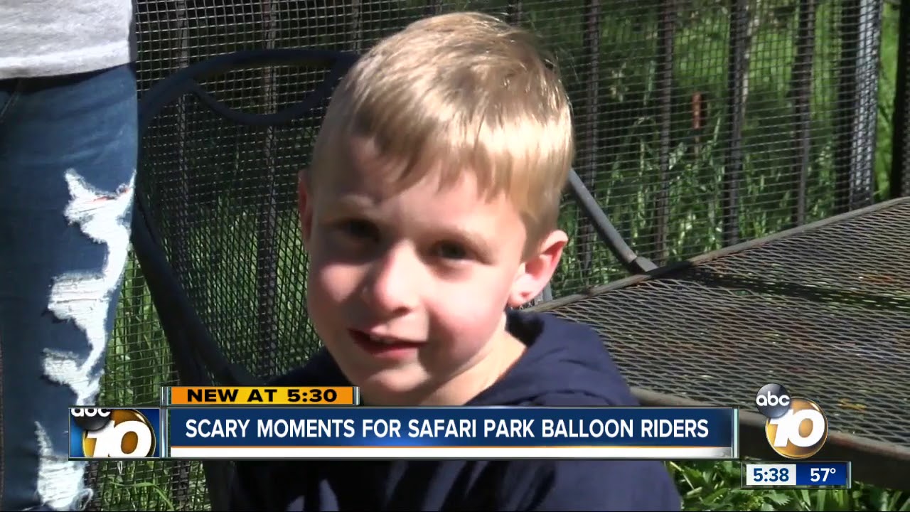 Scary moments for Safari Park Balloon riders