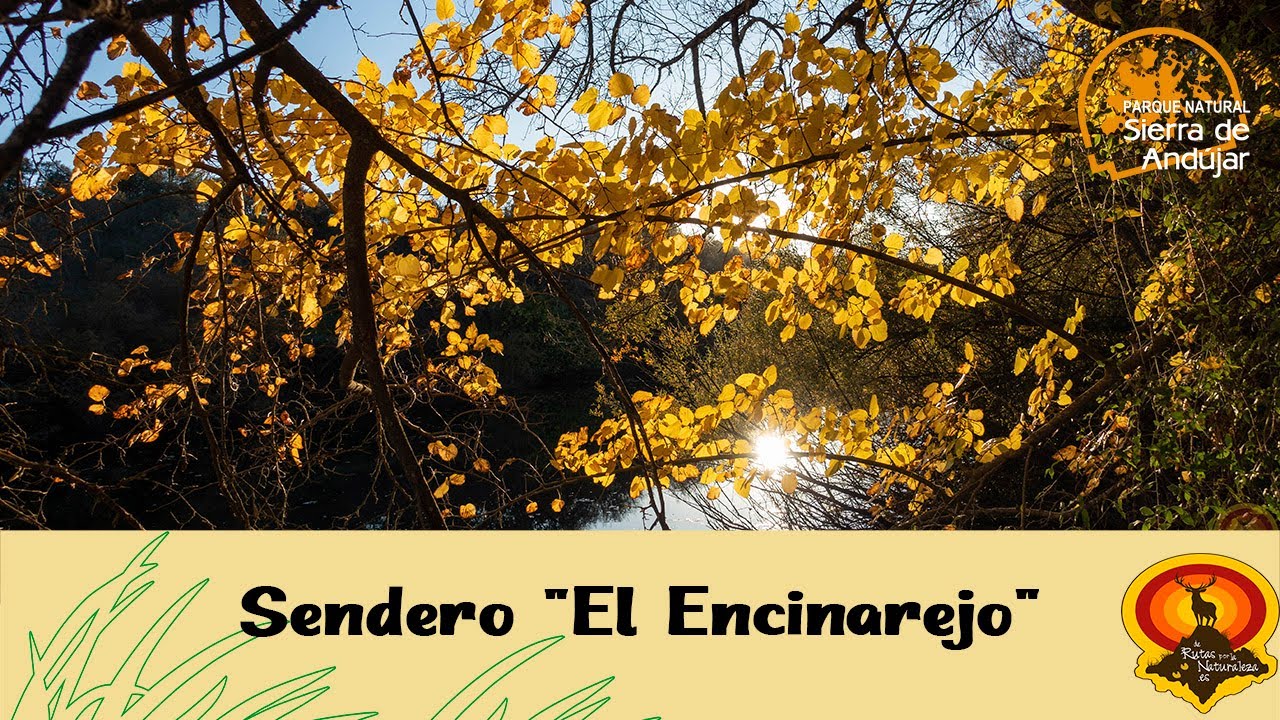 Sendero 