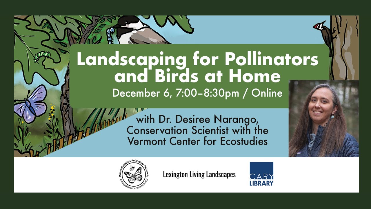 Landscaping for Pollinators and Birds at Home with Desiree Narango (12/6/22)