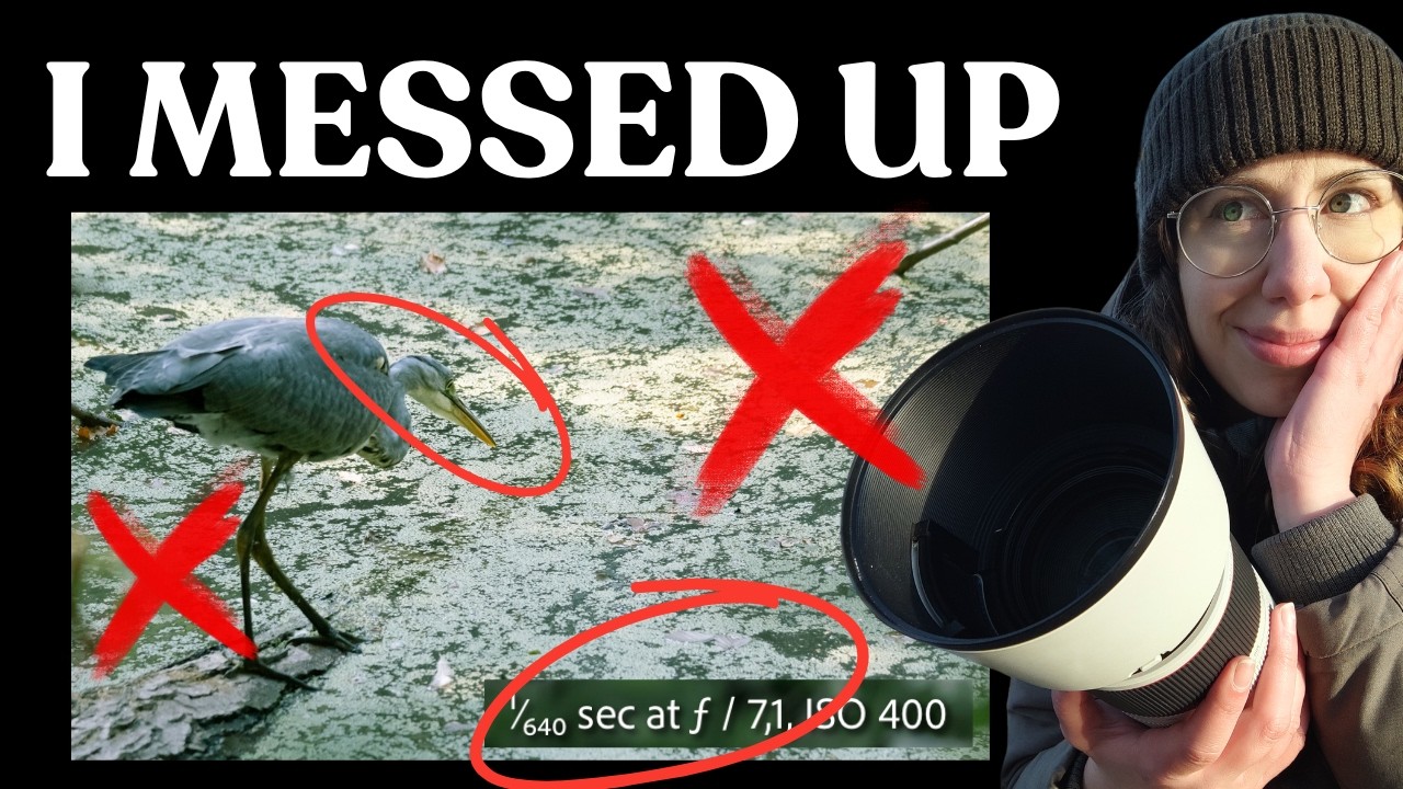 8 Mistakes That Ruined My Bird Photo