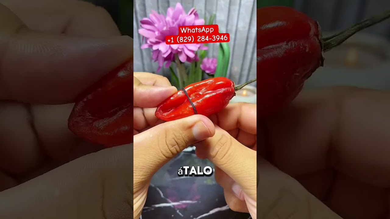 Ritual poderoso del chile 🌶️ para alejar a tu enemisgo de tu caminos #usa #amarres #tarot #amarras
